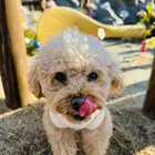 ユーザー画像