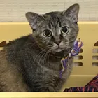 ユーザー画像