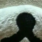 ユーザー画像