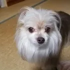 ユーザー画像