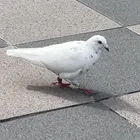 ユーザー画像