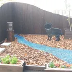 ユーザー画像