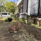 ユーザー画像