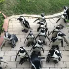 ユーザー画像