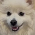 ユーザー画像