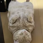 ユーザー画像