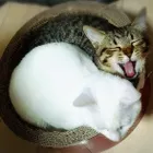 ユーザー画像