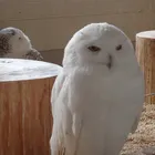 ユーザー画像
