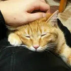 ユーザー画像