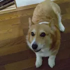 ユーザー画像