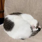 ユーザー画像