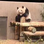 ユーザー画像