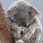 ユーザー画像
