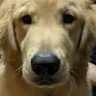 ユーザー画像