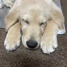 ユーザー画像