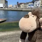 ユーザー画像