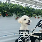 ユーザー画像