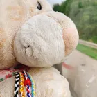ユーザー画像