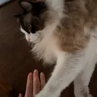 ユーザー画像