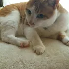 ユーザー画像