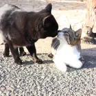 ユーザー画像