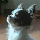 ユーザー画像
