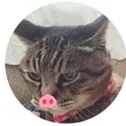 ユーザー画像