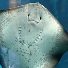 ユーザー画像