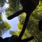 ユーザー画像