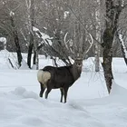 ユーザー画像