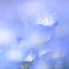 ユーザー画像