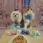 ユーザー画像