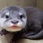 ユーザー画像