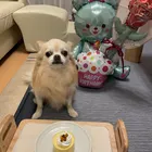 ユーザー画像