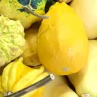 ユーザー画像