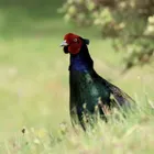 ユーザー画像