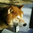 ユーザー画像