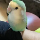 ユーザー画像