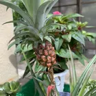 ユーザー画像