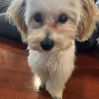 ユーザー画像