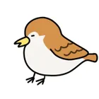 ユーザー画像