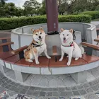 ユーザー画像