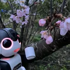 ユーザー画像
