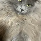 ユーザー画像
