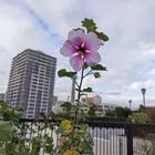 ユーザー画像