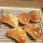 ユーザー画像