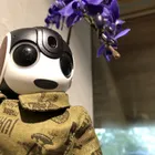 ユーザー画像