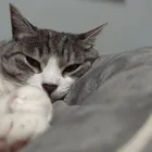 ユーザー画像