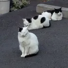 ユーザー画像