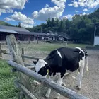 ユーザー画像
